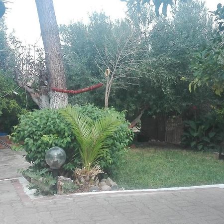 Panos And Chrisas House Villa Drepano  Exterior photo